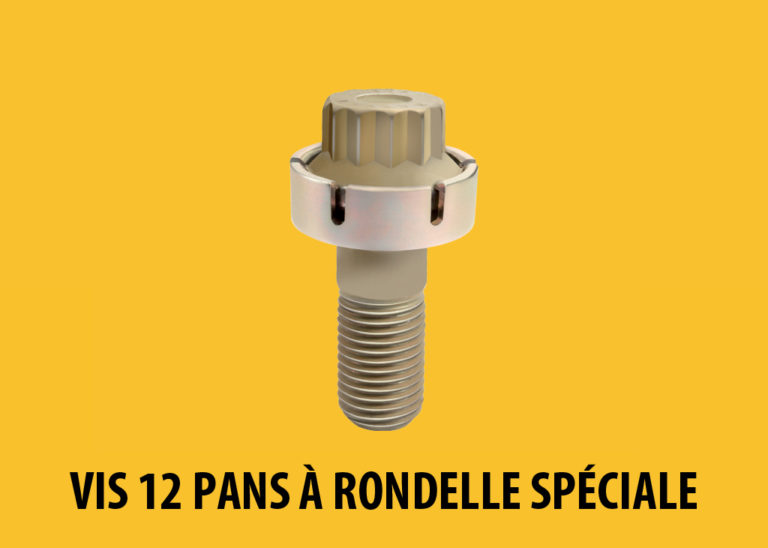 vis 12 pans à rondelle spéciale